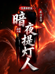 暗夜提灯人海报