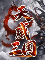 天威三国海报