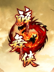 新醉武侠海报